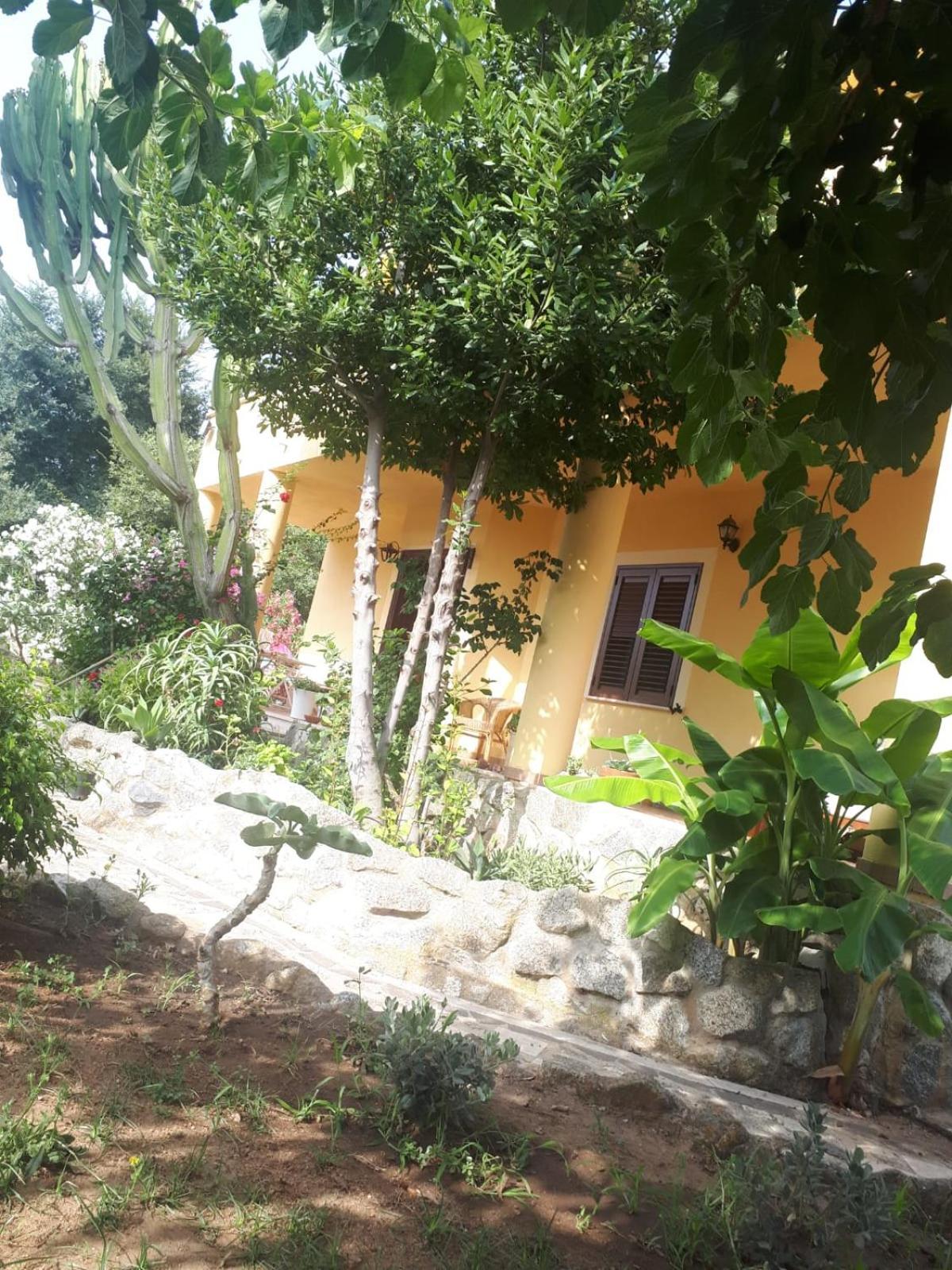 A Turri Hotel Capo Vaticano Eksteriør billede